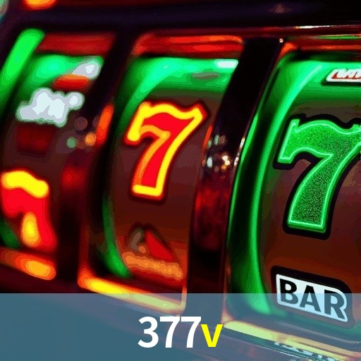 Premium Interface 377V